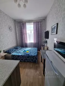 Студия Москва Гостиничная ул., 10К5 (17.0 м)