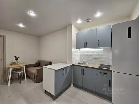 Студия Пермский край, Пермь ул. Плеханова, 62 (27.0 м)