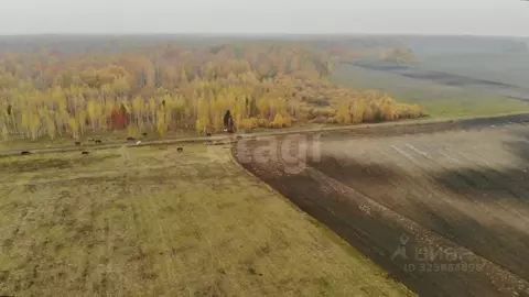 Участок в Тюменская область, Тюменский муниципальный округ, ...