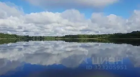 Участок в Псковская область, Плюсский муниципальный округ, д. Заозерье ...