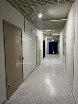 Помещение свободного назначения в Волгоградская область, Волгоград ул. ...