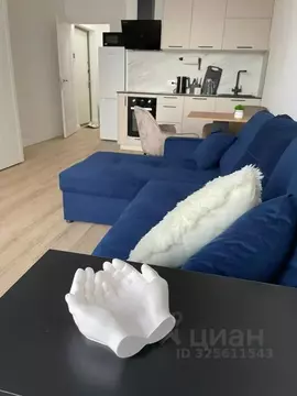 1-к кв. Санкт-Петербург ул. Дыбенко, 3 (27.0 м)