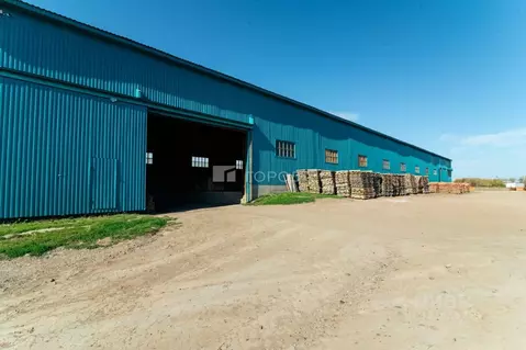 Производственное помещение в Алтайский край, Калманский район, с. ...