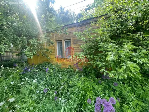 Участок в посёлок городского типа Некрасовский, территория объединения ...