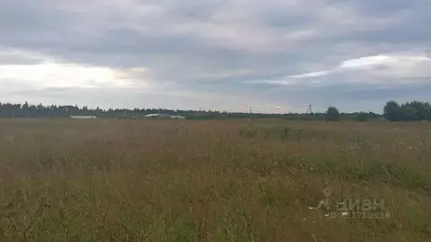 Участок в Ленинградская область, Волосовский район, Клопицкое с/пос, ...