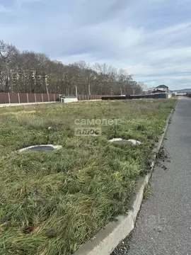 Участок в Краснодарский край, Анапа муниципальный округ, с. Сукко ул. ...