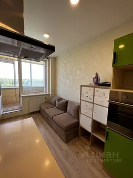 Студия Ленинградская область, Кудрово г. Всеволожский район, Заневское ...