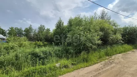 Участок в Амурская область, Благовещенский район, с. Чигири ул. ...