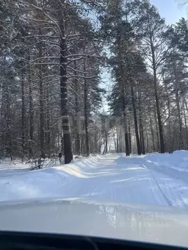 Участок в Новосибирская область, Новосибирский район, Барышевский ...