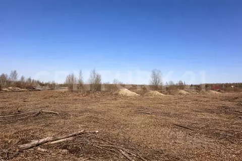 Участок в Ленинградская область, Отрадное Кировский район, ул. ...