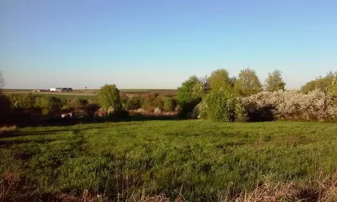 Участок в Воронежская область, Семилукский район, с. Перлевка ул. ...