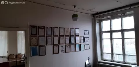 Помещение свободного назначения (24.7 м)