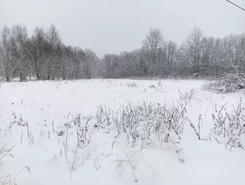 Участок в Московская область, Клин городской округ, д. Елгозино  ...