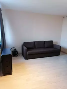 1-к кв. Санкт-Петербург пос. Парголово, проезд Толубеевский, 24 (28.0 ...