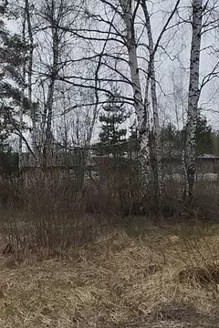 Участок в Московская область, Орехово-Зуевский городской округ, д. ...