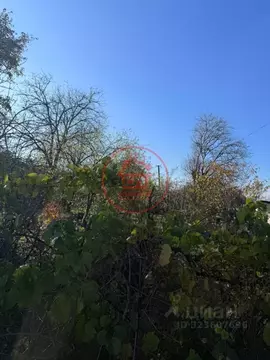 Участок в Краснодарский край, Армавир Железнодорожник СНТ, 363 (5.07 ...