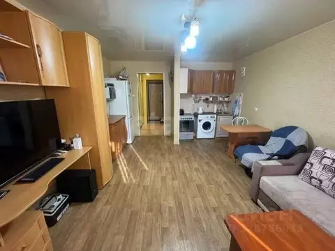 Студия Амурская область, Благовещенск Северная ул., 38 (26.6 м)