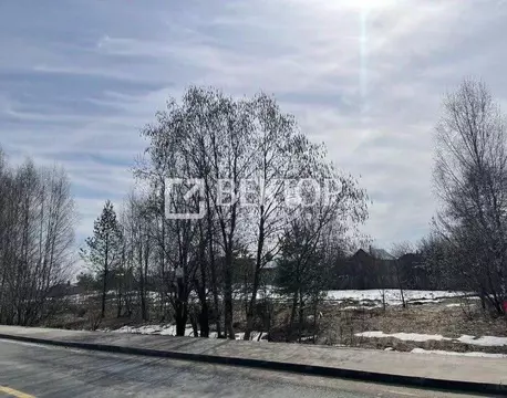 Участок в Ивановская область, Ивановский район, Беляницкое с/пос, д. ...