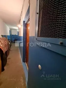 2-к кв. Алтайский край, Барнаул ул. Шумакова, 24 (55.2 м)