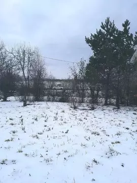 Участок в Алтайский край, Барнаул городской округ, с. Власиха  (10.0 ...