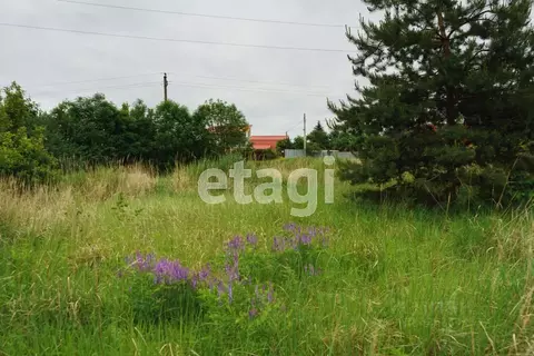 Участок в Воронежская область, Рамонский район, Айдаровское с/пос, с. ...