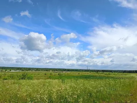 Участок в Брянская область, Брянский район, Новодарковичское с/пос, д. ...