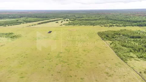 Участок в Тюменская область, Тюменский муниципальный округ, д. Речкина ...