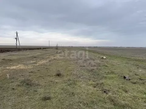 Участок в Крым, Сакский район, Молочненское с/пос, с. Витино  (3.18 ...