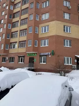 1-к кв. Московская область, Богородский городской округ, д. Щемилово ...