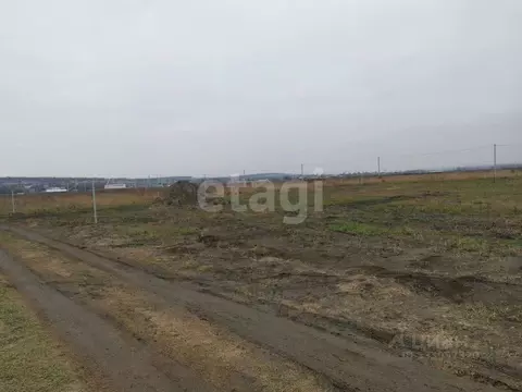 Участок в Воронежская область, Воронеж ул. Придонская, 154 (10.0 сот.)