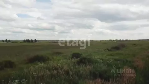 Участок в Московская область, Лотошино муниципальный округ, пос. ...