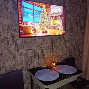 Студия Пермский край, Пермь Автозаводская ул., 30 (20.0 м)