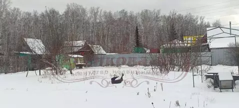 Участок в Курганская область, Кетовский муниципальный округ, Ясная ...