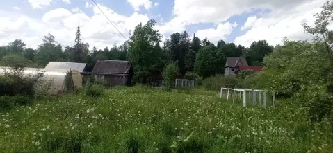 Дом в Пермский край, Пермь Липогорец-2 СНТ,  (10 м)