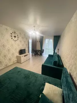 Студия Калининградская область, Гурьевский муниципальный округ, пос. ...