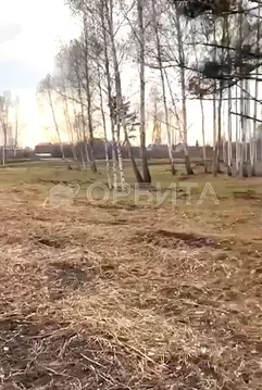 Участок в Тюменская область, Нижнетавдинский муниципальный округ, ...