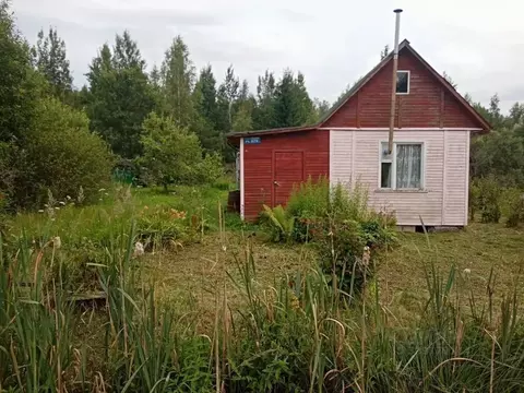Участок в Ленинградская область, Кировский район, Мгинское городское ...
