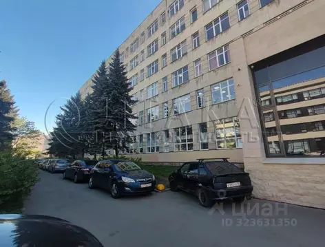 Помещение свободного назначения в Санкт-Петербург Левашовский просп., ...
