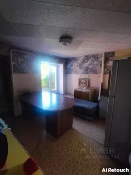 Коттедж в Алтайский край, Рубцовск Мелиоративная ул. (91 м)