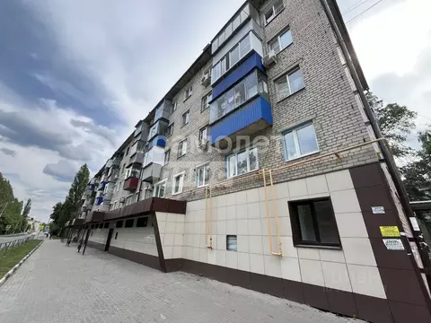 Офис в Липецкая область, Липецк ул. 40 лет Октября, 25 (217 м)