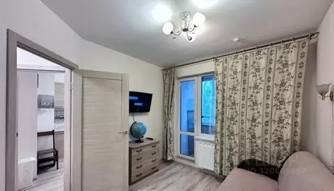 1-к кв. Санкт-Петербург пос. Шушары, просп. Старорусский, 13к1 (28.0 ...