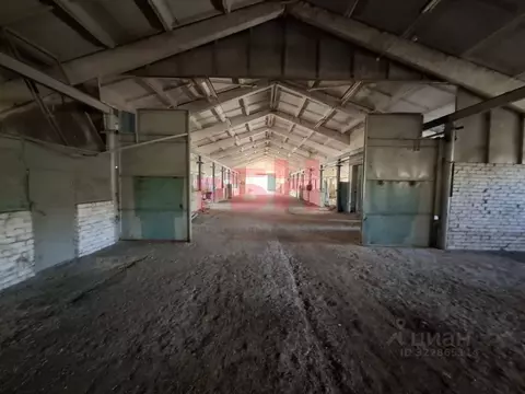 Производственное помещение в Самарская область, Кинель-Черкасский ...