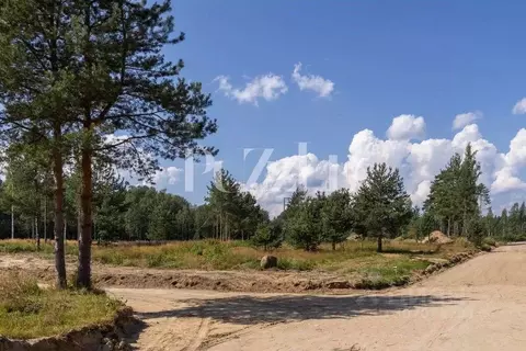 Участок в Ленинградская область, Приозерский район, Громовское с/пос, ...