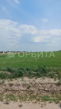 Участок в Тюменская область, Тюменский муниципальный округ, с. Борки ...