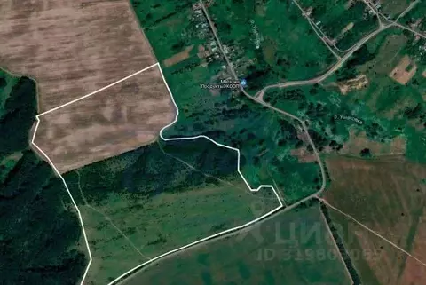 Участок в Нижегородская область, Лысковский район, с. Окишино  ...