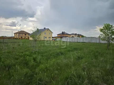 Участок в Воронежская область, Новоусманский район, Отрадненское ...