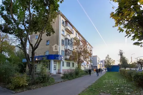 Помещение свободного назначения в Владимирская область, Владимир ...