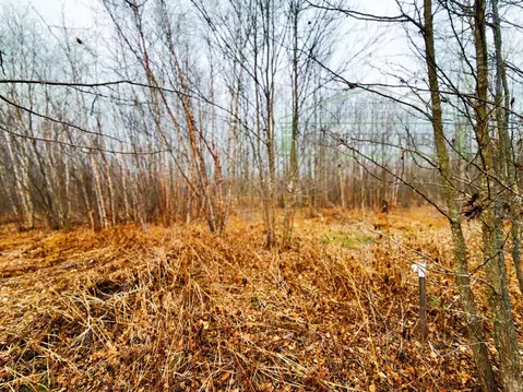 Участок в Приморский край, Артемовский городской округ, с. Ясное ул. ...
