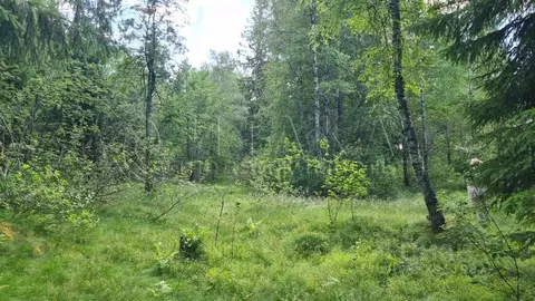 Участок в Ленинградская область, Выборгский район, Первомайское с/пос, ...