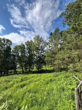 Участок в Алтай, Чемальский район, пос. Усть-Сема  (7.5 сот.)